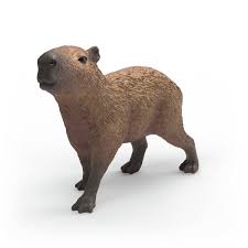 Image of Capybara