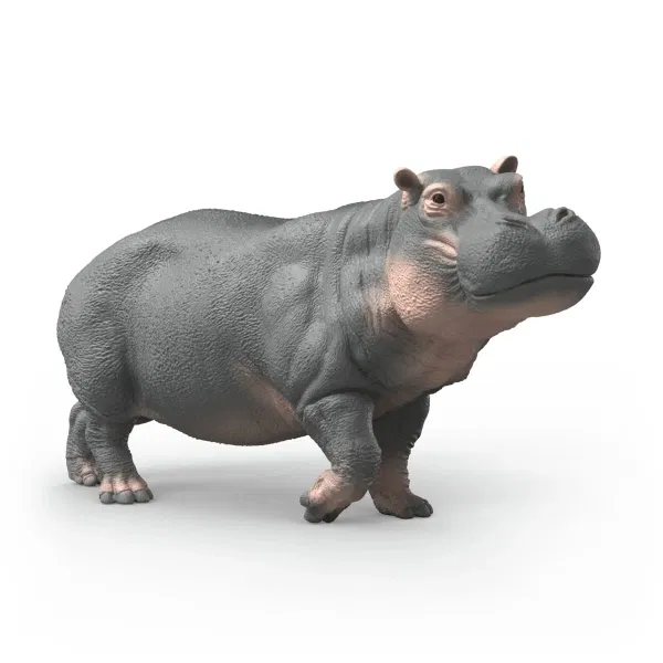 662-1024 Product Image 1
