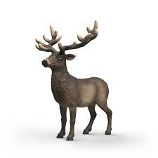 Image of Elk