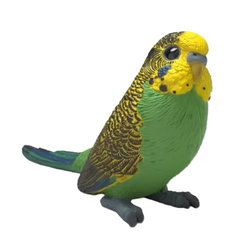 Image of Budgie – ETA Aug 2026