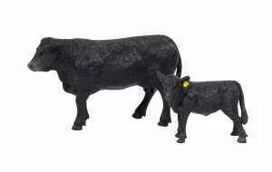 Angus Cow & Calf