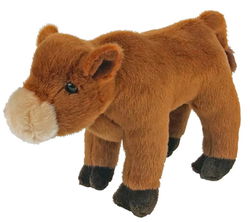 Image of 8′ Scarlett the Red Angus Calf