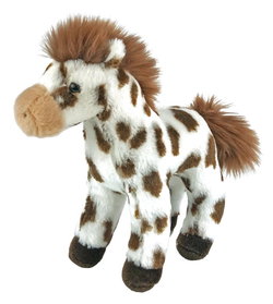 Image of 8′ Bud Bud the Appaloosa