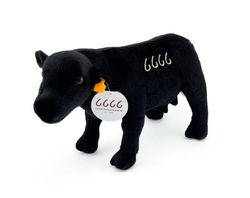 Image of 14′ Four Sixes Black Angus Plush
