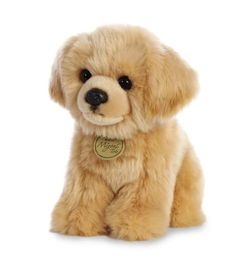 Image of 11′ Miyoni Tots Golden Retriever Pup