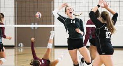 670-0313 Product Image 3